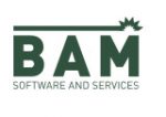 BAM Software & Services