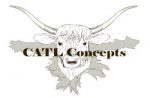 CATL Concepts